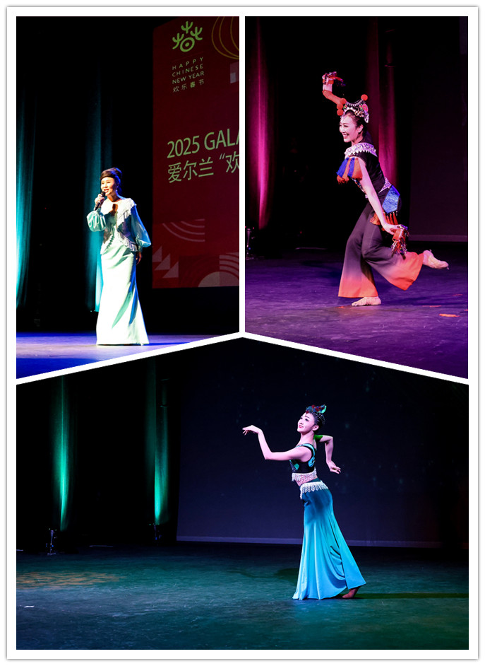 精彩紛呈的晚會演出。中國駐愛爾蘭大使館供圖