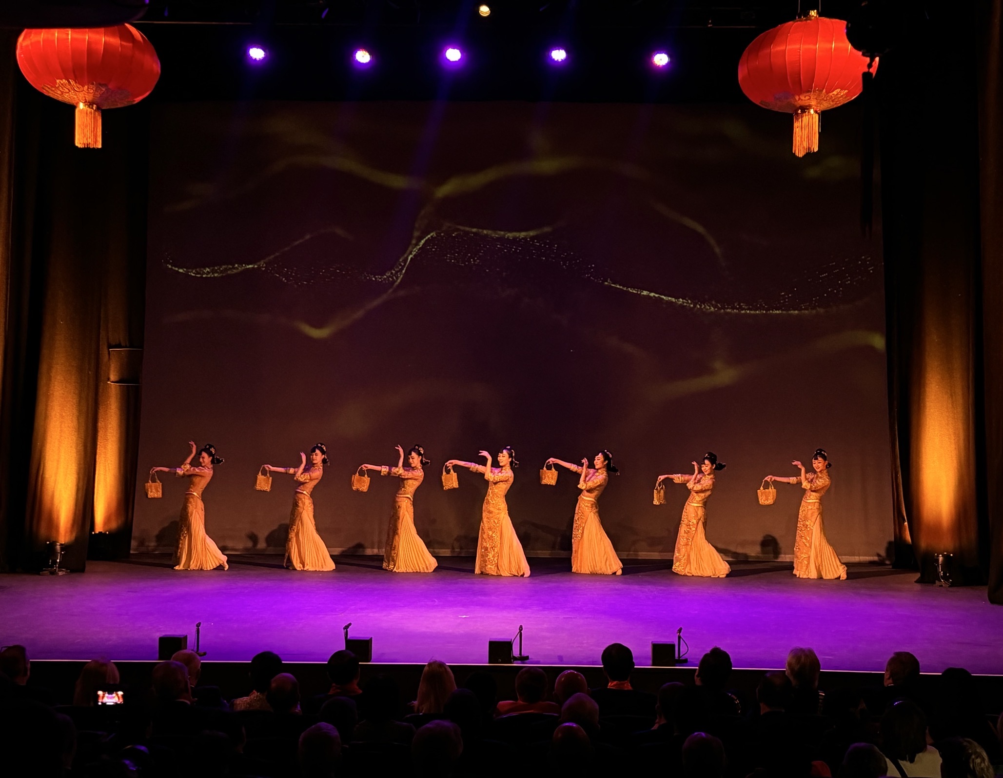 精彩紛呈的晚會演出。中國駐愛爾蘭大使館供圖